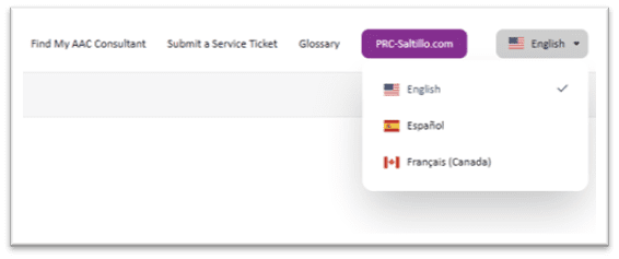 Knowledge Base Language Options